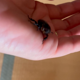 山奥にある田舎の家あるある٩( ᐛ )وの画像