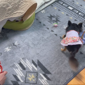 宿題の練習の画像