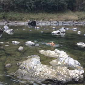 寒くはない❣️の画像