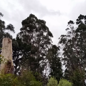 人生の大きな変換期に突入の画像