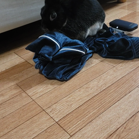 パジャマの画像