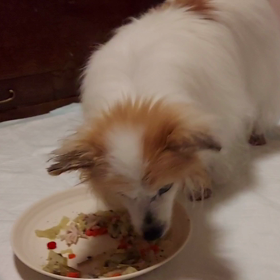 2022/09/06(火)の食事動画 & 笑顔のオマケ動画。の画像