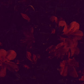 作詞日の画像