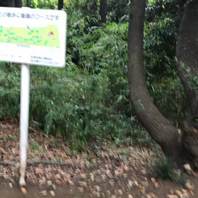 ♪お散歩動画♪砧公園♪の画像