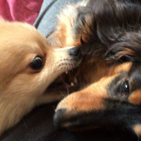 ねぇねぇの画像