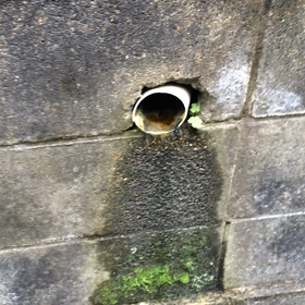 水滴の動画の画像
