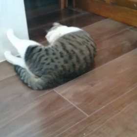 * キアラの病院選びの画像