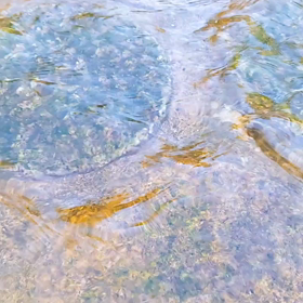 自分を満たしてあげる、ただそれだけ♡♡の画像