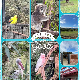 Holiday☺️の画像