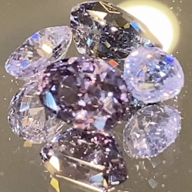 マスクラバイト&ターフェアイト見付けた!!の画像