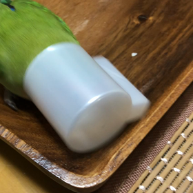 かわい子ちゃん♡の画像