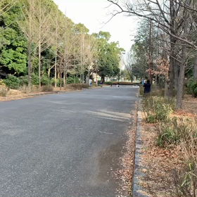 選考会⑪の画像