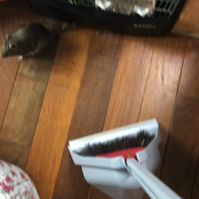 侵入禁止でちよ〜！の画像