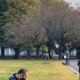 400インターバル④の画像