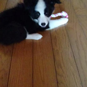 微妙な距離感の画像