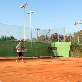 184日目 それぞれの道の画像