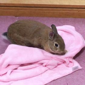 匠の技。の画像