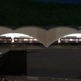 今週いっぱいは完治しないから今度は動画での画像