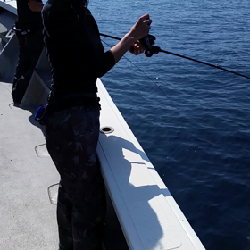 本日の動画その9の画像