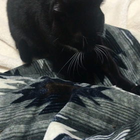 息子の誕生日の画像