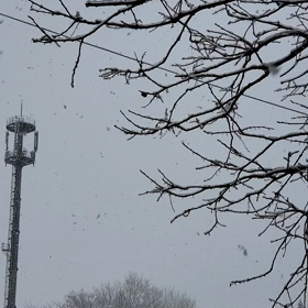 春なのに❄️の画像