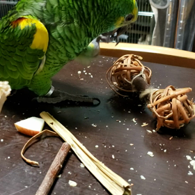 ガシッと掴んでの画像