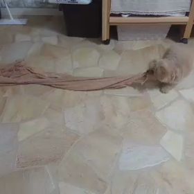 バスタオルの画像