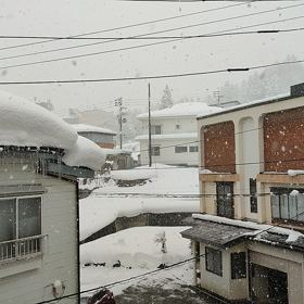 今日はお休みの画像