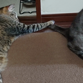 微妙な関係の画像