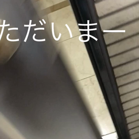 主人とお花見弁当の話。ジム。チップとデールと私の字幕付き動画の画像