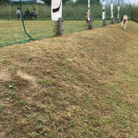 今日のドッグランも大はしゃぎの画像