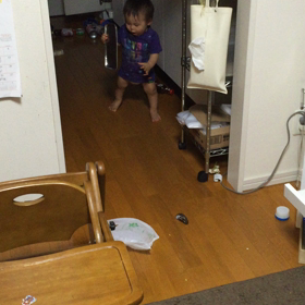 ゆーしょー独り立ちの画像