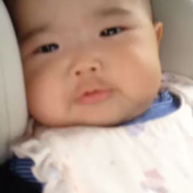 ぶっぶっぶっの画像