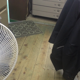 復活しました！の画像