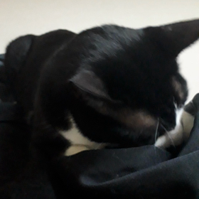 休憩なうの画像