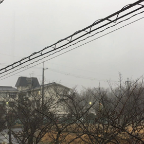 豪雨注意報の画像