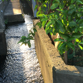 脳にもUE♡成長してますよぉ(*´艸｀*)の画像