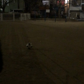 今日はトレーニングをしました！の画像