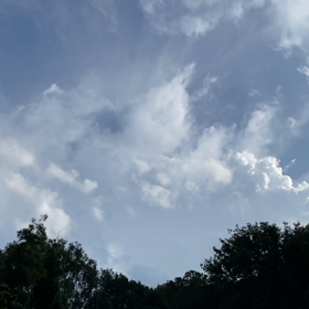 “自然と音遊び” プロジェクト vol.059！の画像