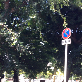 暑〜い‼︎の画像