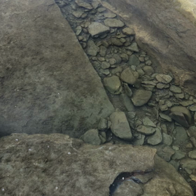 小魚に癒される✨✨の画像