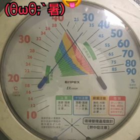 残暑σ(∵`)？の画像