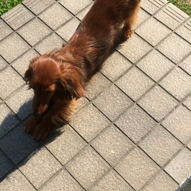 ストレッチの画像