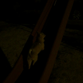 すべり台の画像