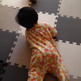 ほふく前進〜〜、始めっ！の画像