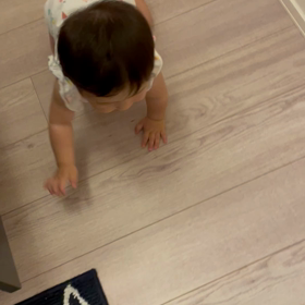 ハイハイの画像