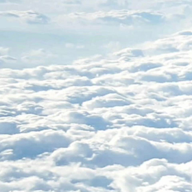 伝索 ×  スプリングフェアの画像