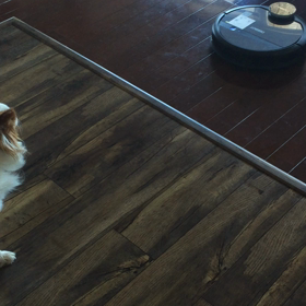 お掃除ロボットのいる生活の画像