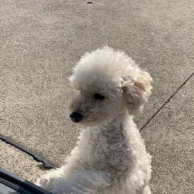 志布志沖堤防・立入禁止についての画像