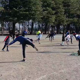 3/11 バランス⑥の画像